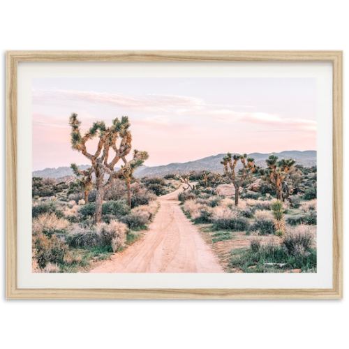Fine Art Joshua Tree Photography Print Desert Wall Art Framed Landscape California Nature Home Decor - Etsy