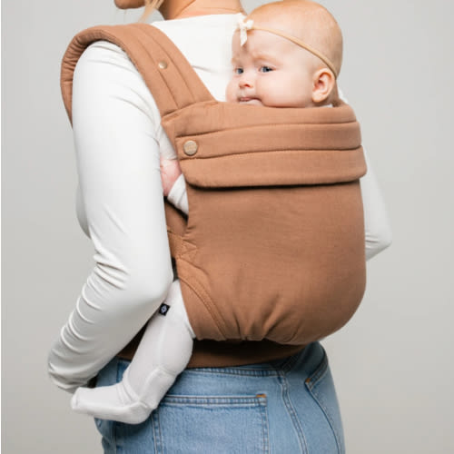 The Monarch Carrier