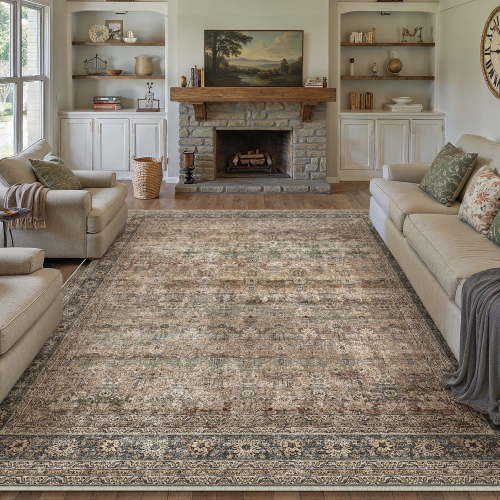 BERTHMEER 6'x9' Washable Brown Area Rugs for Living Room Bedroom Kitchen Rugs Non Slip Vintage Traditional Dorm Office Dining Room Farmhouse Oriental Distressed Rugs