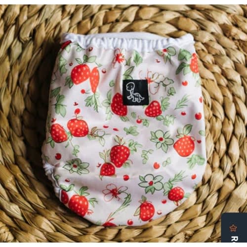 Strawberry Patch Newborn Reusable Cloth Diaper Cover – Dino Diapers