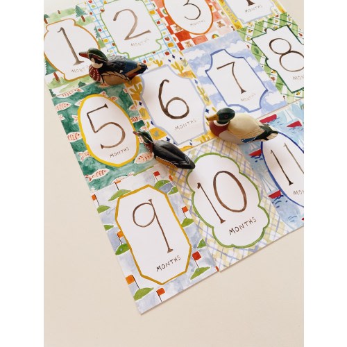 Rustic Painted Baby Milestone Marker Cards