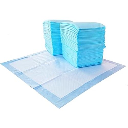 Amazon Basics Absorbent Dog and Puppy Pee Pads with 5-Layer Leak-Proof Design and Quick-Dry Surface for Potty Training, Regular, 22 x 22 Inch, Scented - Pack of 150, Blue