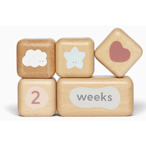 Wooden Baby Milestone Blocks | MORI US