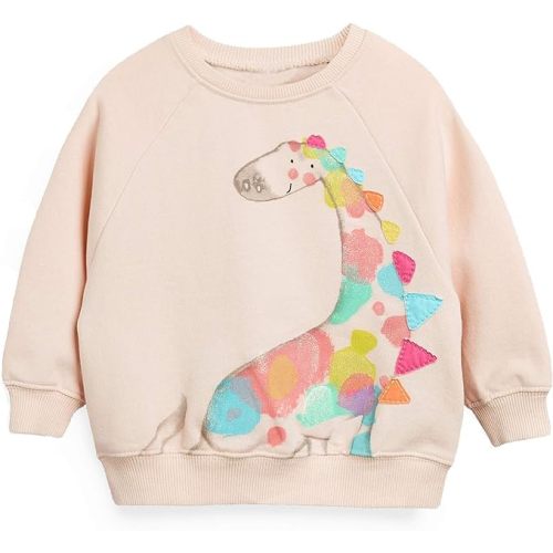 Little Hand Toddler Girls Sweatshirts Crewneck Hoodies Long Sleeve Collage T Shirts Kids Pullover Tops - 3T - 2# Colorful Dinosaur