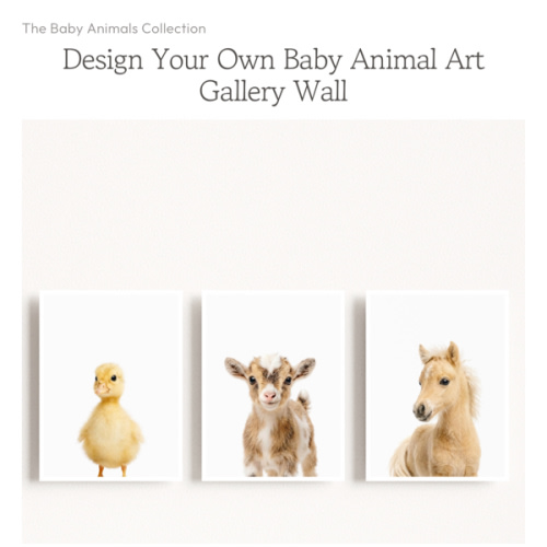 Design Your Own Baby Animal Art Gallery Wall - 3 Prints