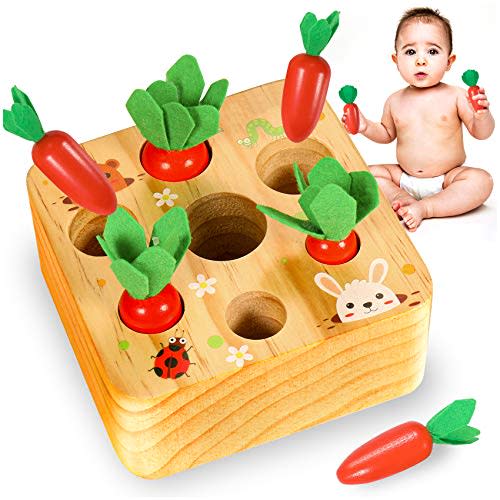 Montessori Wooden Carrot Matching Puzzle