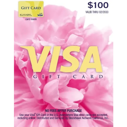 Visa $100 Gift Card (plus $5.95 Purchase Fee)