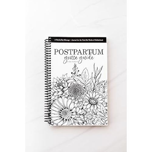 Postpartum Grace Guide: A Day-by-Day Message and Inspirational Journal for New Moms
