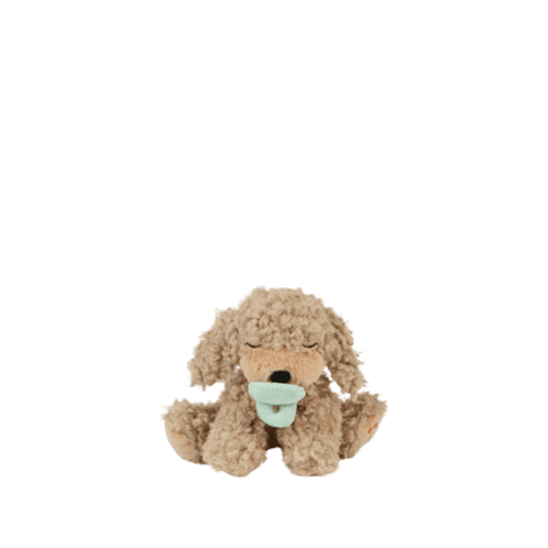 Binky Puppy - Benny