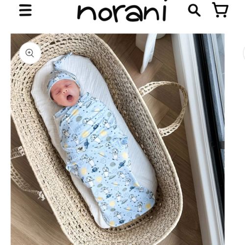 Norani Baby Snugababe Sleep Pod with Arm Inserts - Space Bears