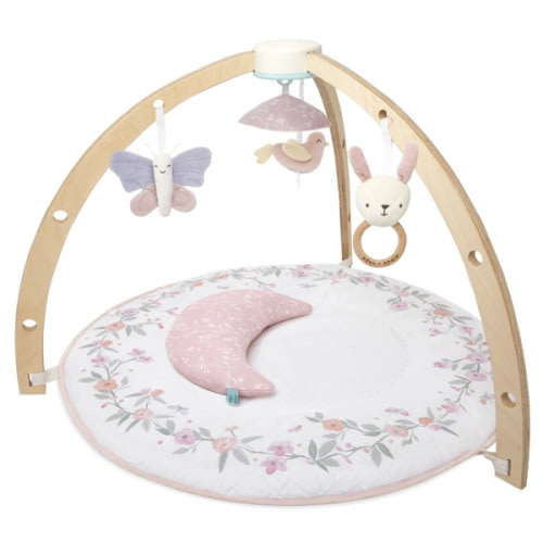 Baby Gym | Premium Baby Activity Gym | aden + anais