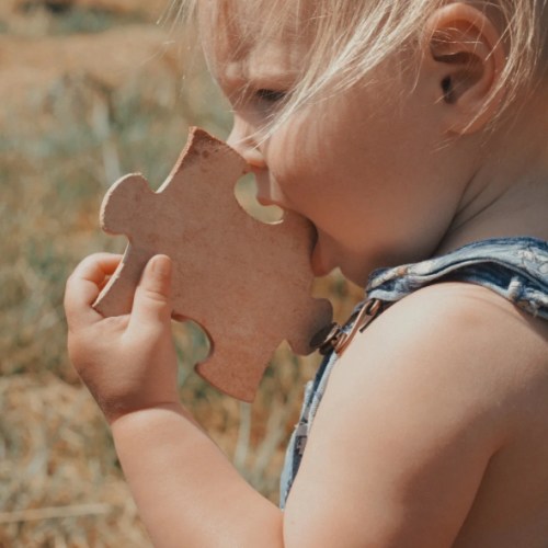 Teething toy- Organic Buckaroo Chew