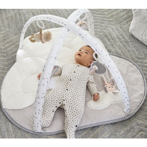 Skip Hop x pbk Baby Activity Gym | Pottery Barn Kids