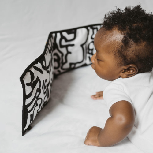 Fanta and Ismaël Camara's Baby Registry at Babylist