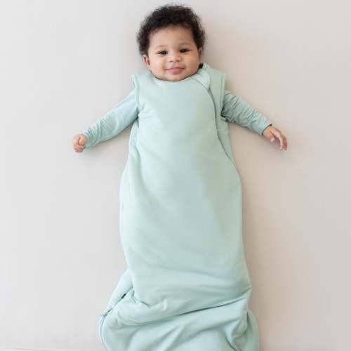 Kyte Baby Sleep Bag - Medium, 1.0