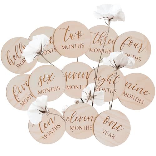 Monthly Milestone Signs – Wooden Newborn Photo Props for 0-12 Months, Gender-Neutral Gift, Baby Milestone Cards