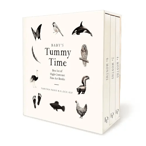 Baby's Tummy Time Book Box Set: A 3-Book Box Set of High-Contrast Art for Visual Stimulation at Tummy Time (Our Little Adventures Series)