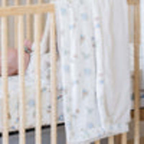 PETER RABBIT™ BAMBOO RAYON MUSLIN/LUSH BLANKETS – Saranoni