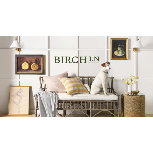 Birch Lane™ Momsen Lamp | Birch Lane