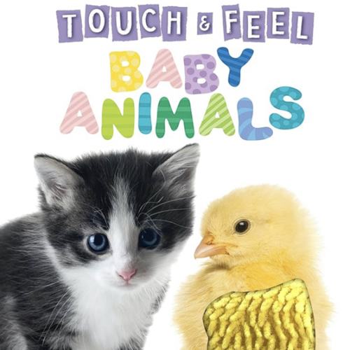 Touch and Feel Baby Animals - Novelty Book - Children's Board Book - Interactive Fun Child's Book (Touch & Feel Sensory Board Books for Baby & Toddler Time)