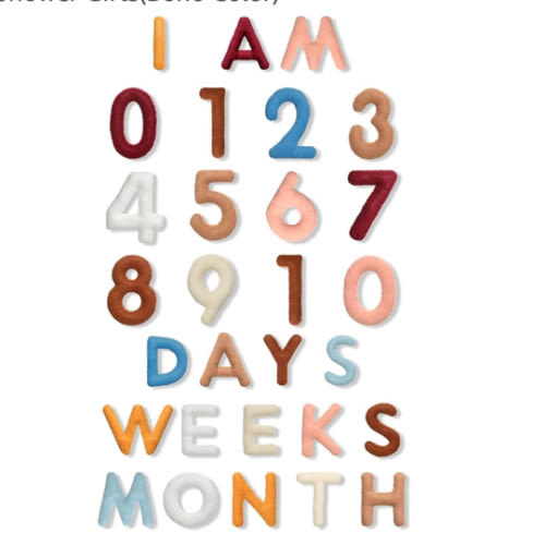 29 Pcs Felt Baby Monthly Milestone Decor Numbers and Letters Newborn Birth Photography Props, 1-12 Months Milestone Number Sign Decor for Toddler Boy or Girl Baby Shower Gifts(Boho Color)