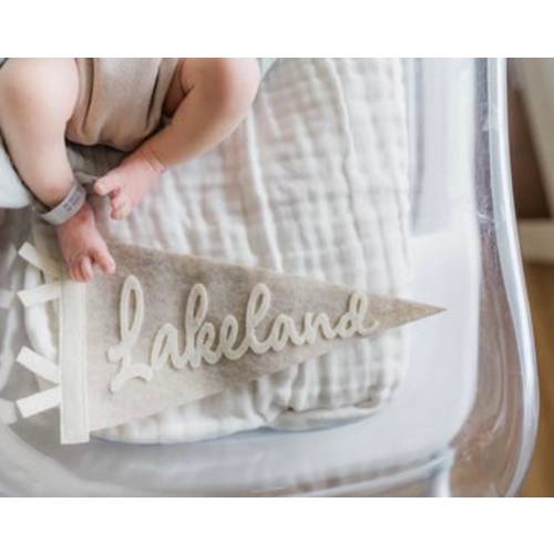 Custom name pennant, personalized baby gift, neutral nursery decor, personalized baby boy girl name flag, felt pennant