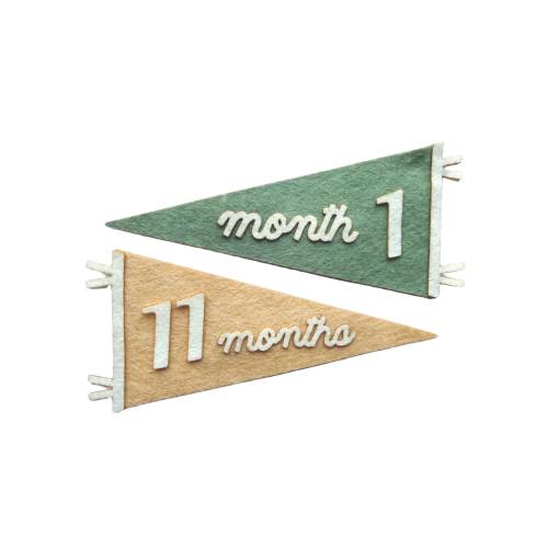 Pennant Flag Milestone Set | Newborn Growth | Pennant Flag Baby Sign | Photo Prop | newborn sign | baby shower gift | gift newborn
