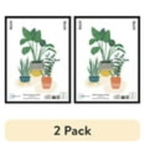 (2 pack) Mainstays Basic Black 18" x 24" Framed Poster