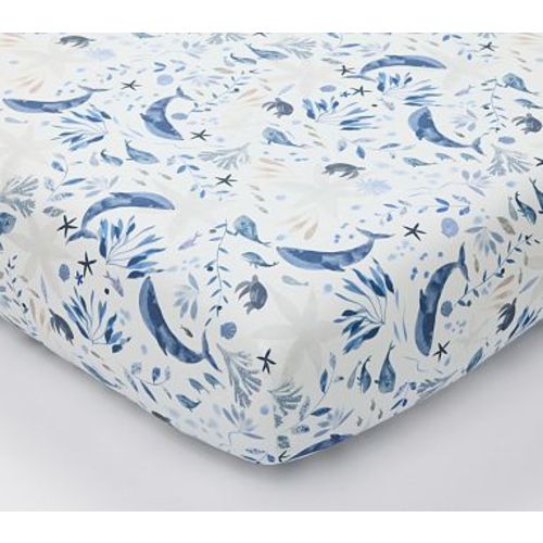 Organic Jack Sea Life Crib Sheet , Blue Multi