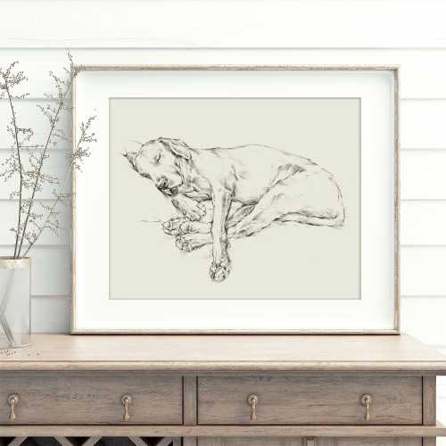 Black Lab Sketch Art Print: Sleeping Dog Giclée Wall Decor