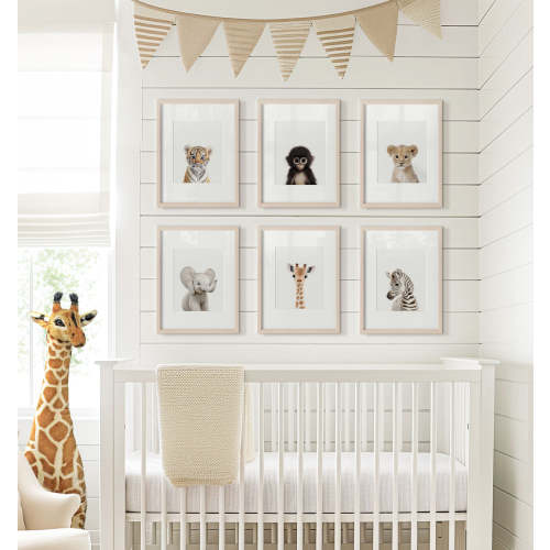 Baby Jungle & Safari Animals Set of 6 Nursery Decor Prints