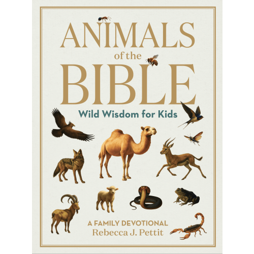Bible Land Books