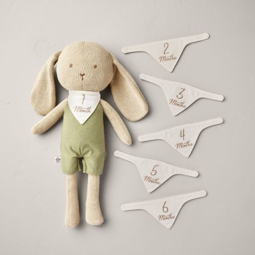 Newborn Milestone Knit Bunny 7pc - Hearth & Hand™ With Magnolia