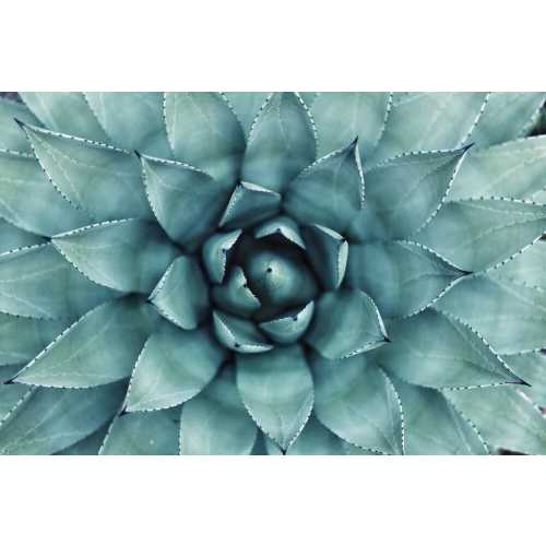 Book a massage with Versatility in Massage + Movement | Prairie village KS 66208