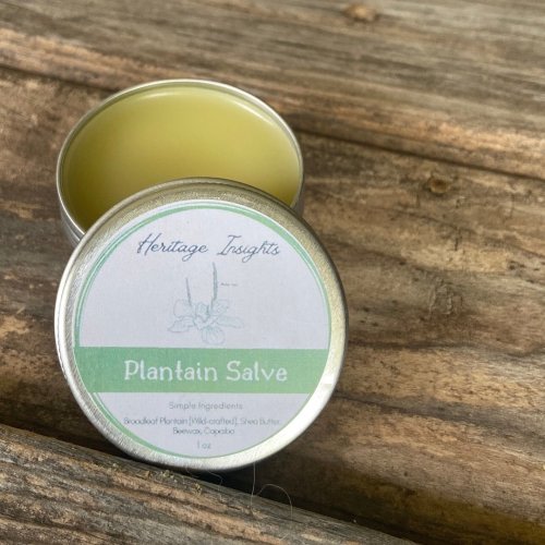 Wildcrafted Plantain Salve