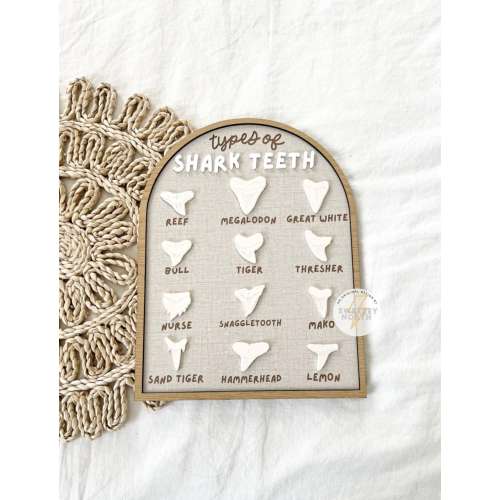 shark teeth sign | no wake zone | beach theme decor | shark room sign | surfer decor | make waves | beach decor | little mermaid | rad dude