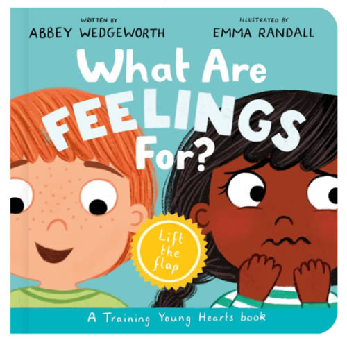 What Are Feelings For? Board Book: A Lift-the-Flap Board Book (Christian behavior book for toddlers encouraging emotional health and resilience.) (Training Young Hearts)