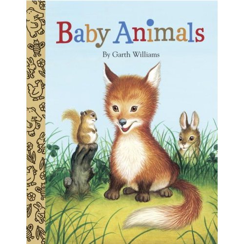 Baby Animals