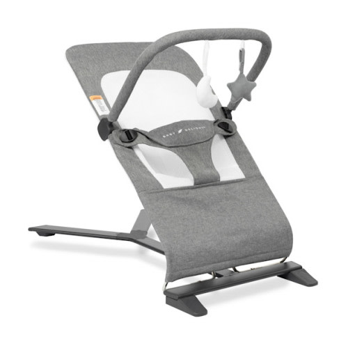 Baby Delight Alpine Deluxe Portable Baby Bouncer