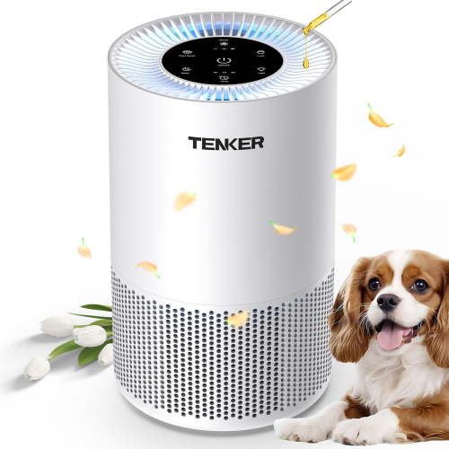 HEPA Air Purifier for Home up to 1200 Sq.ft, Air Purifiers for Allergies and Asthma, Bedroom, Pet Dander & Odor, Dust, Pollen, Wildfire/Smoke, White