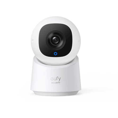 Indoor Cam C210