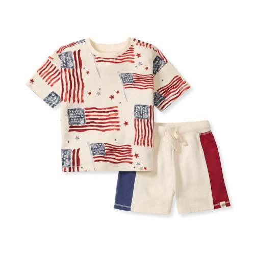 American Flag Boy Tee & Shorts Set – Burt's Bees Baby