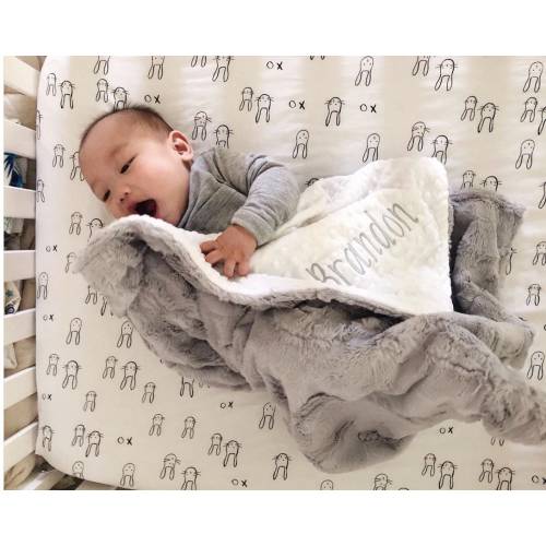 Personalized Gray Hide Minky and You choose the Dot Minky Baby Blanket, Newborn Baby Shower Gift
