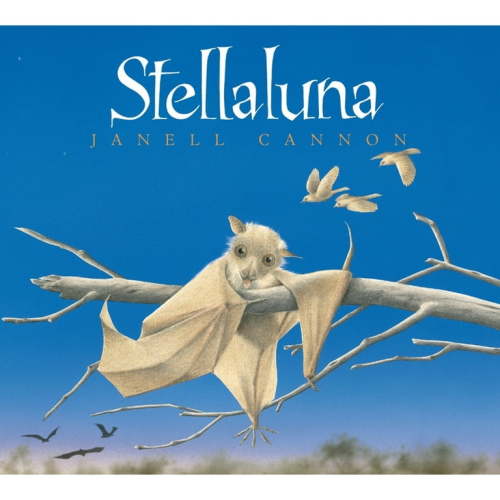 Janell Cannon: Stellaluna, Book 1 (Board Book)
