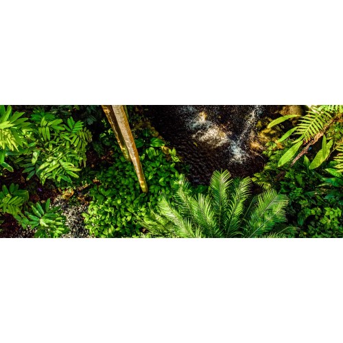 Give the Gift of Garden Memberships | Botanical Garden Membership