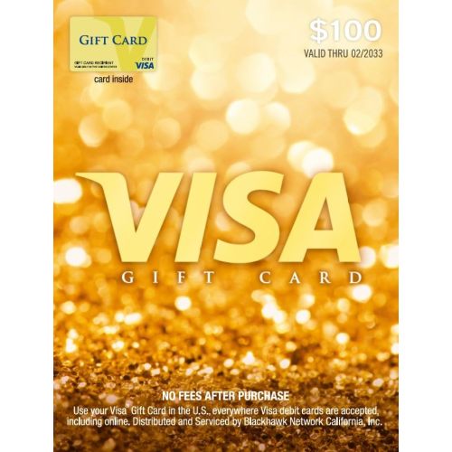Visa $100 Gift Card (plus $5.95 Purchase Fee)