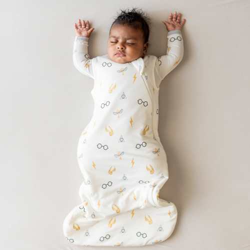 Sleep Bag in Icon 1.0