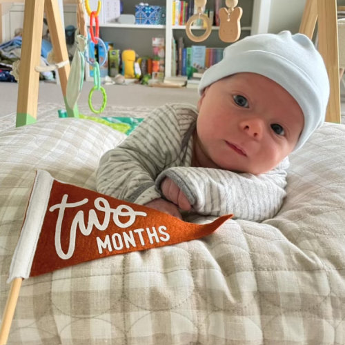 BABY MILESTONE SET Monthly Pennant Photo Props | Set of 6 Double-Sided Reversible 4x7" Flags with Removable Stick