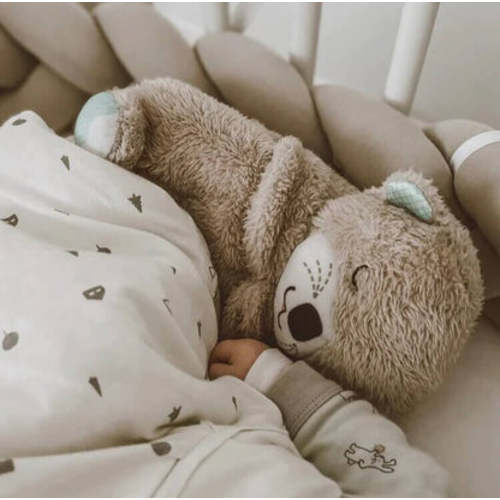 The Dreamy Otter – ALLENDE