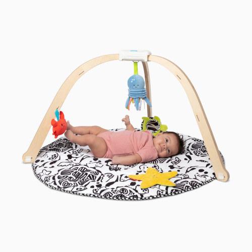 Ocean Easy-Fold Play Gym - Multi